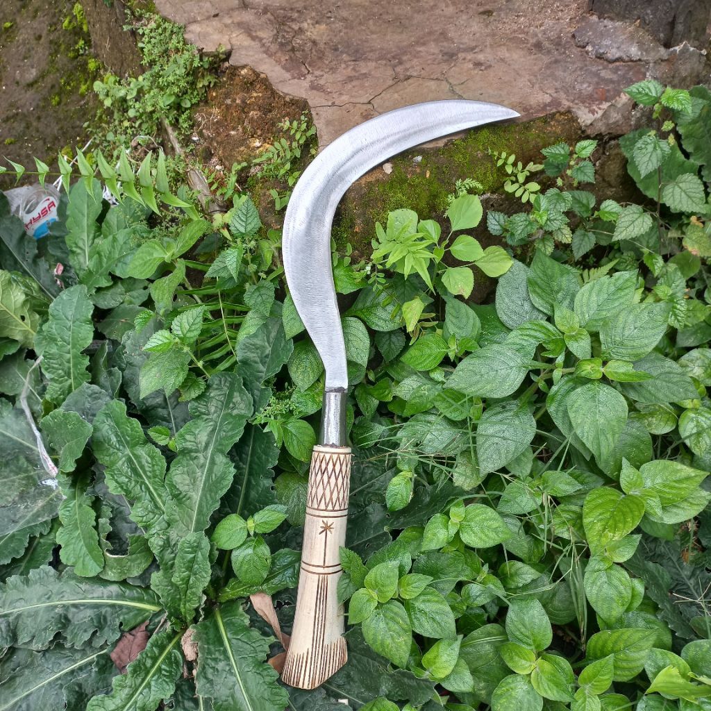 sabit rumput/arit rumput