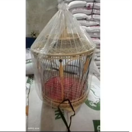 kandang burung perkutut mataram egel model kendang