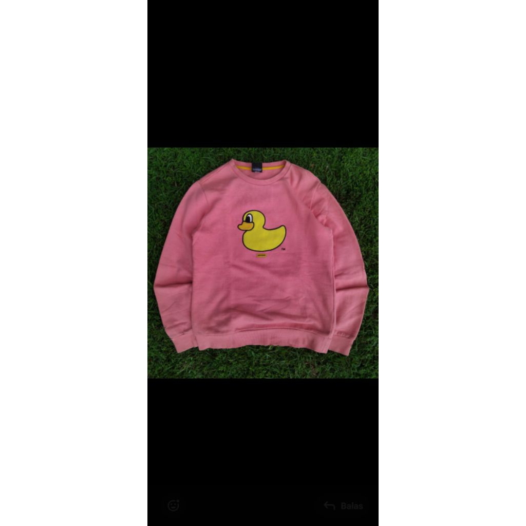 cn pancoat