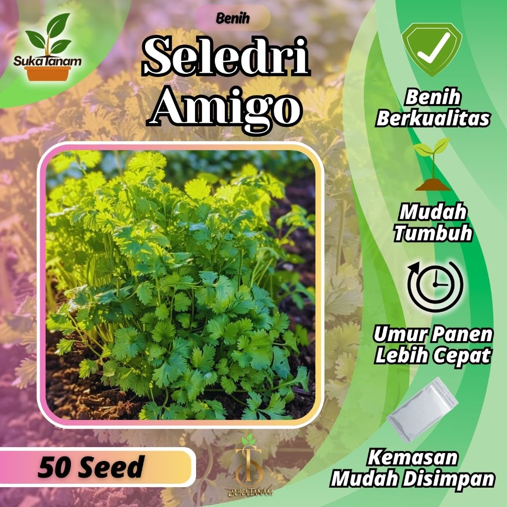 Benih Seribuan Suka Tanam - Benih Seledri Amigo (50butir)