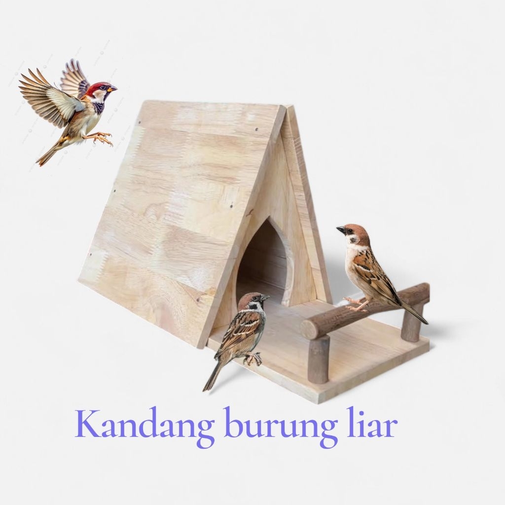 tempat singgahan burung liar kandang buat burung jinak