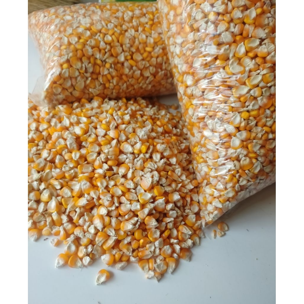 jagung pipil kering/jagung dara 1kg