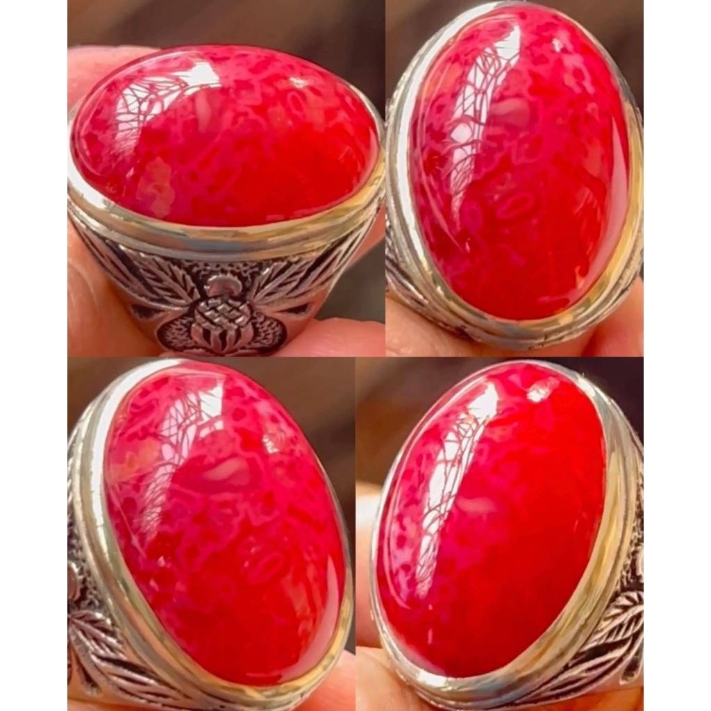 RED RUBAH BANYUWANGI MERAH DARAH AJIB SUPER