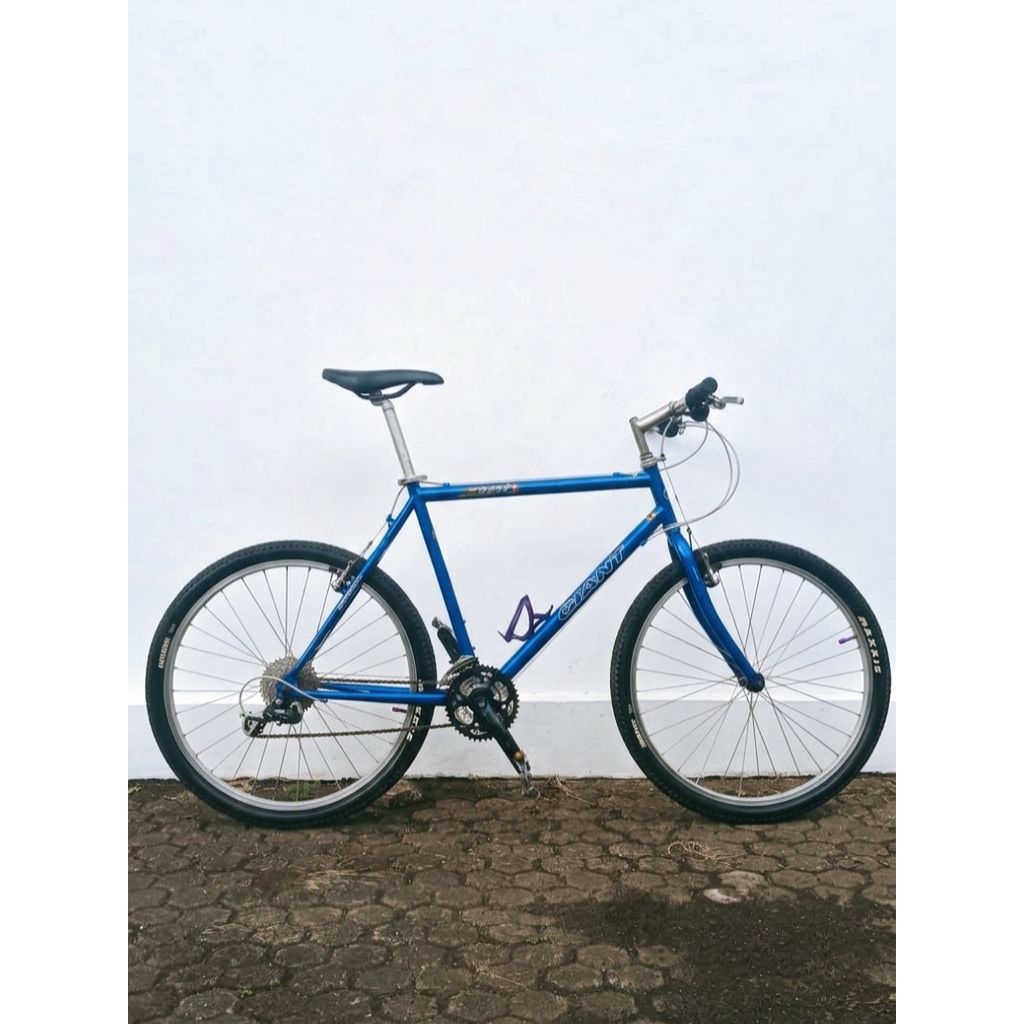 Sepeda Mtb Vintage Giant Euro 1 Special EditionFrame size 21,5