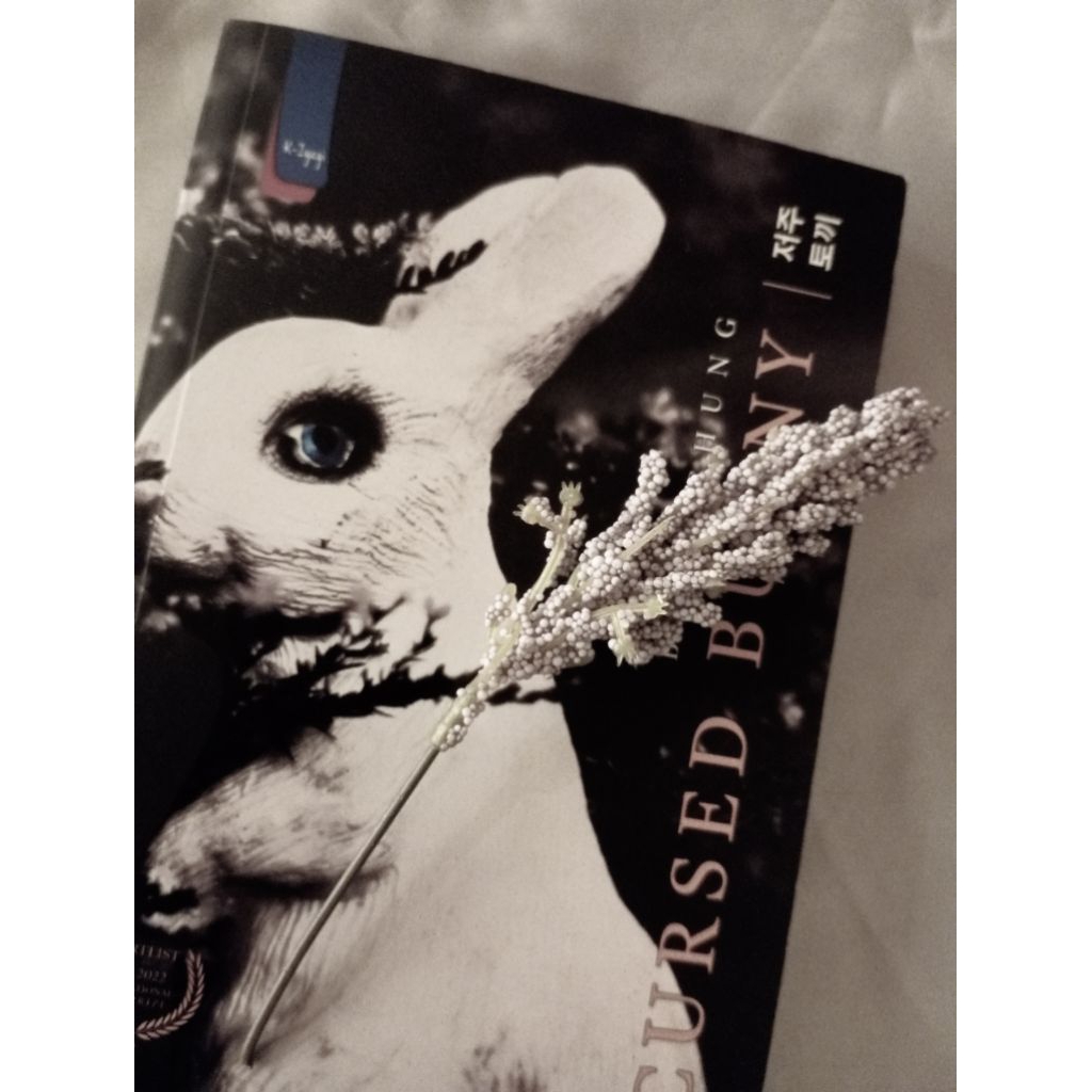(PRELOVED) CURSED BUNNY
