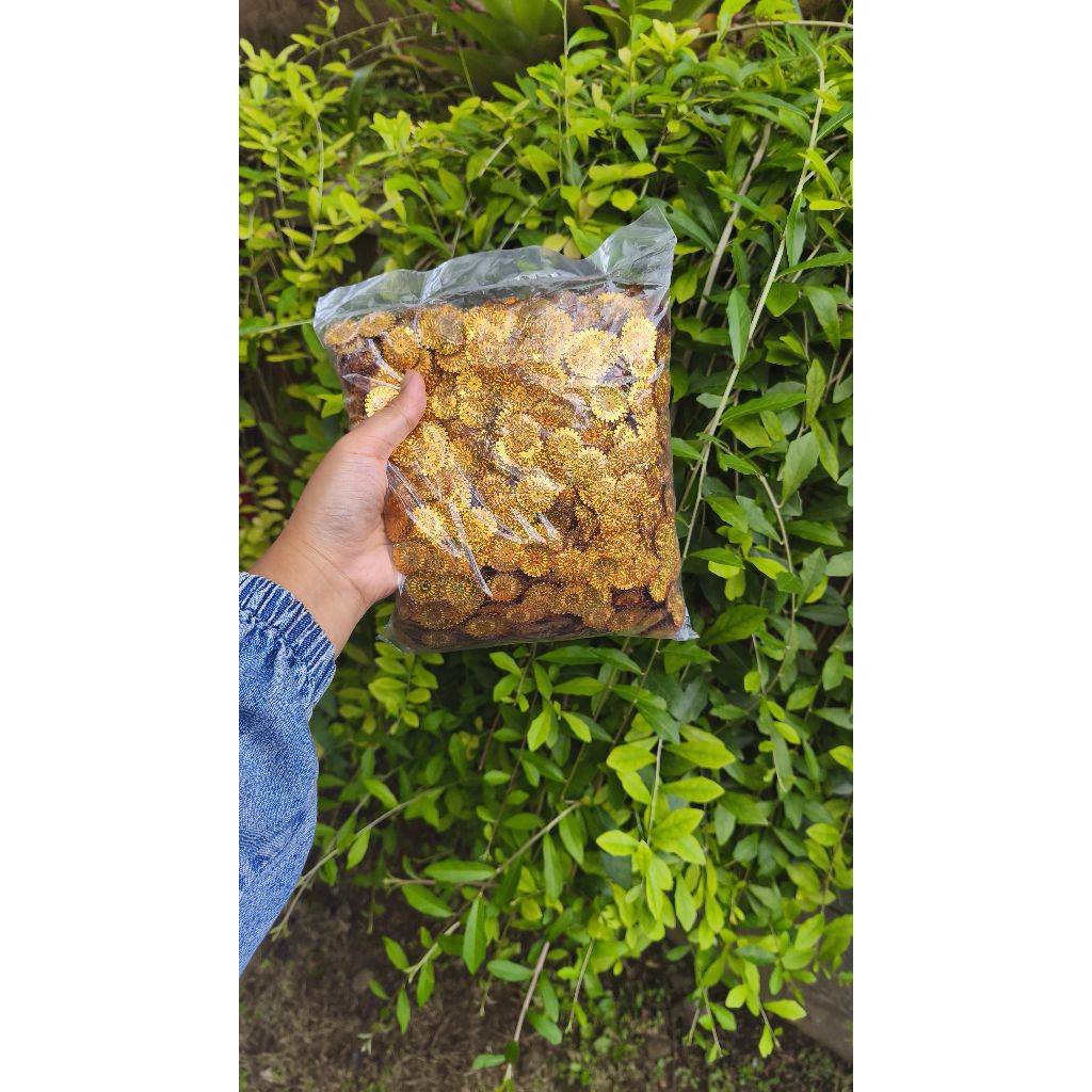 pernak pernik gerigi // Payet cakra 450g