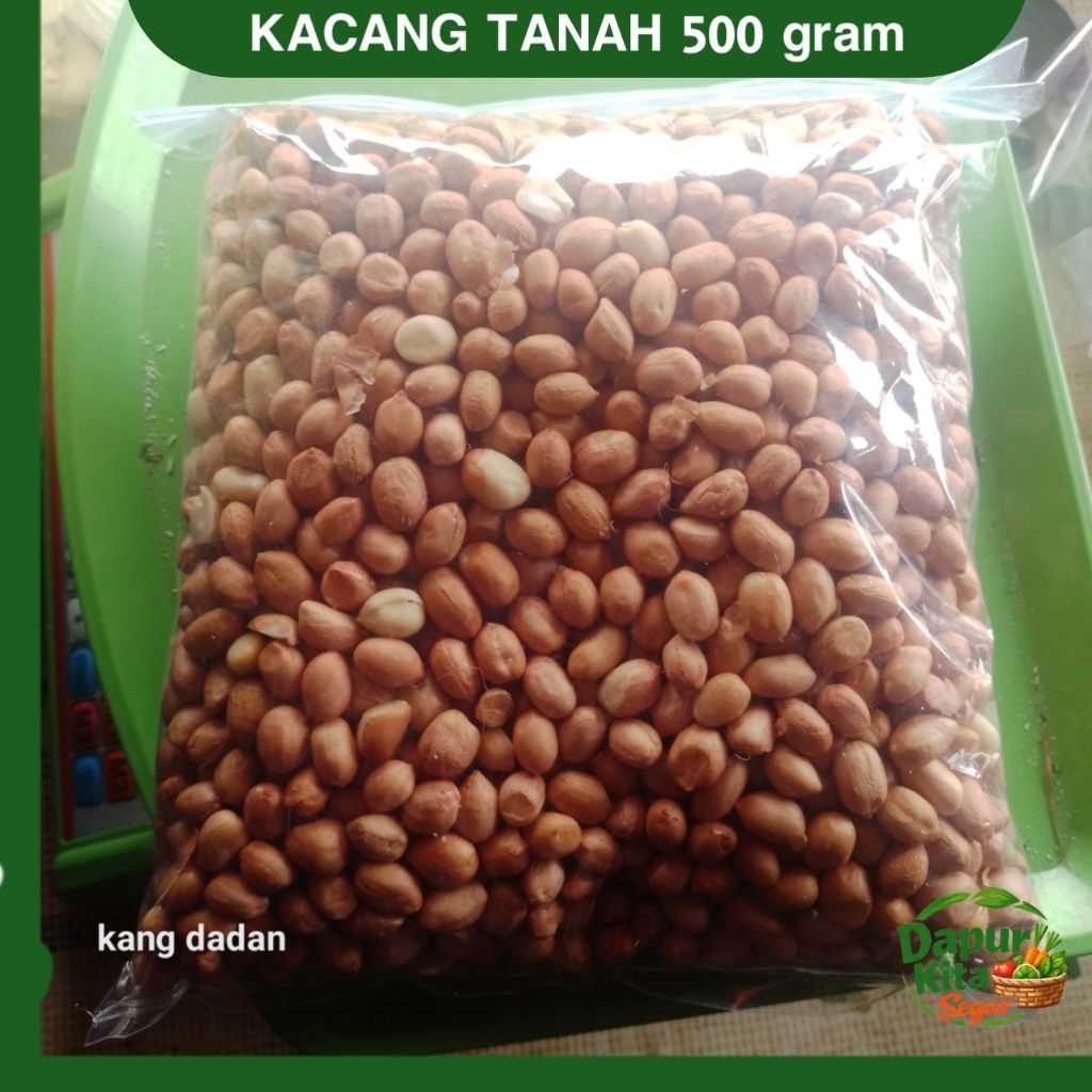 Kacang Tanah Bali 500 gram Mentah Biji Besar Bersih