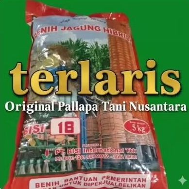 BENIH JAGUNG HIBRIDA BISI 18 KEMASAN 5KG