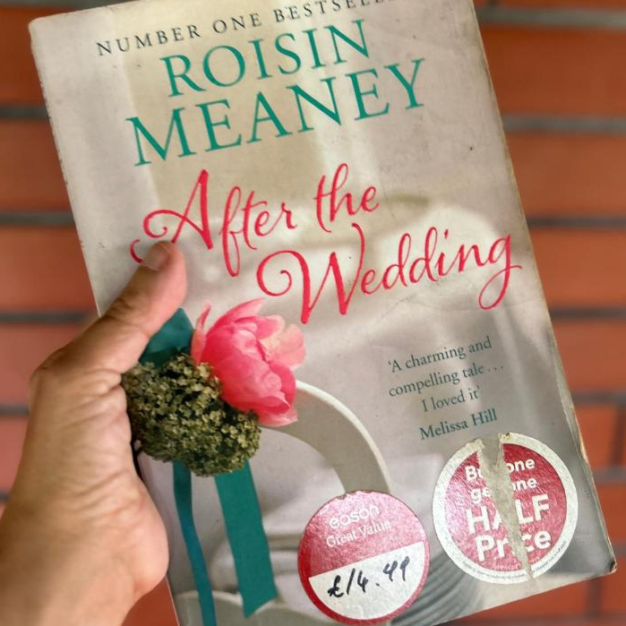 Roisin Meaney After The Wedding Buku Novel Romance Fiction Bahasa Inggris Preloved