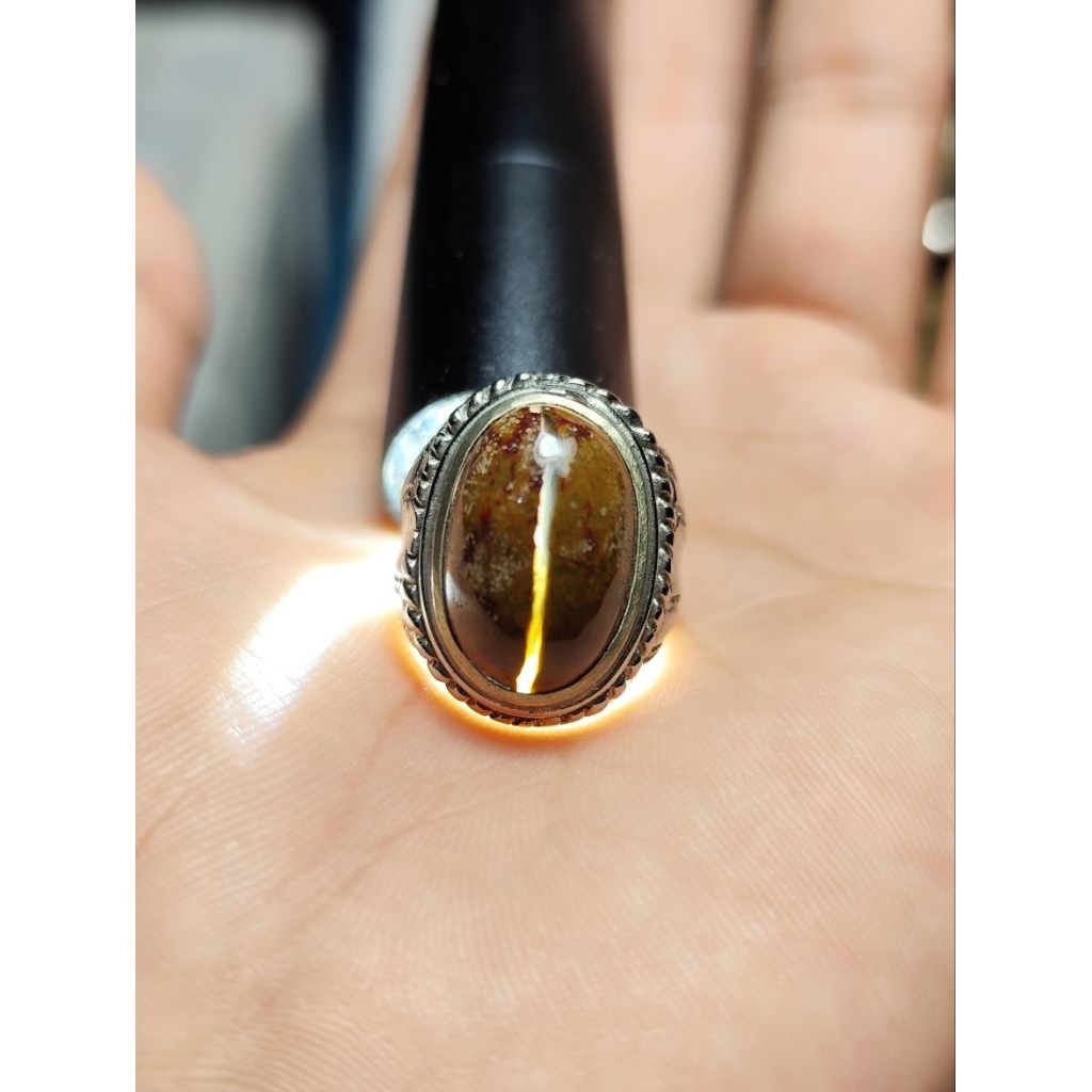 kendit badar ati ayam