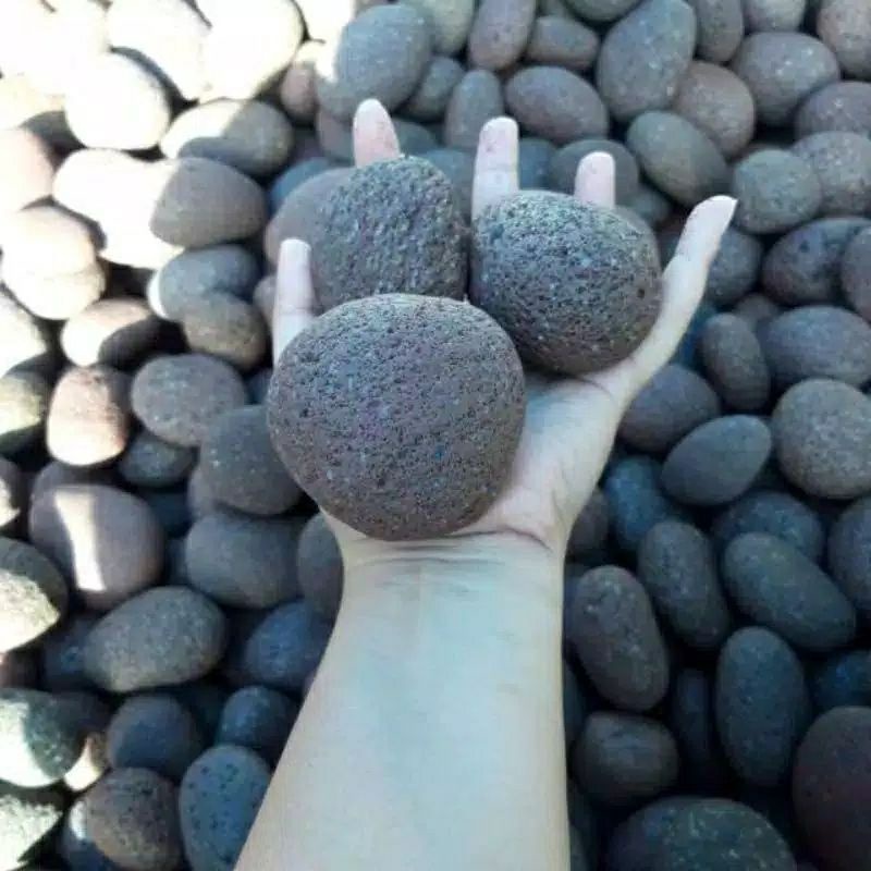 Daritelur Aviary Stone – Batu Alam Asli Dekor Habitat