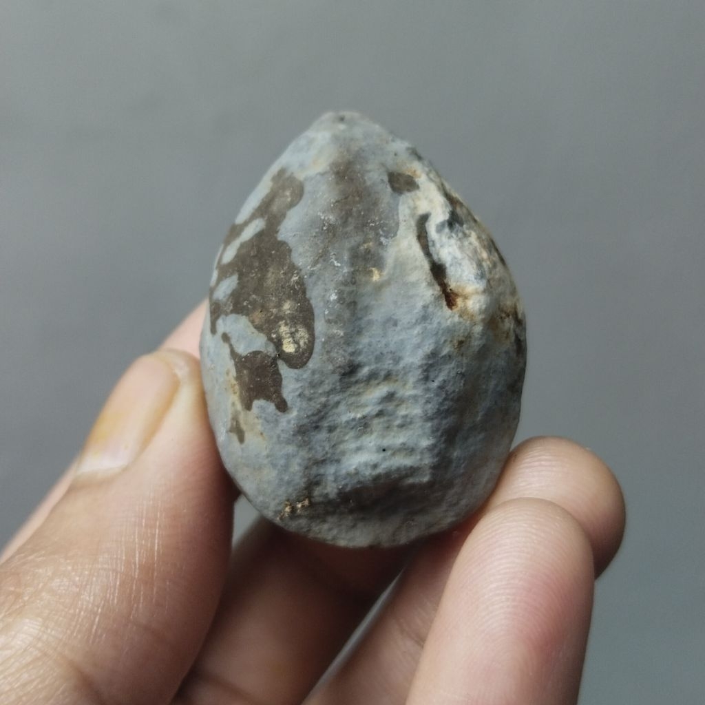 Muncang adu Mewah jawa Panjangan Garut Murah