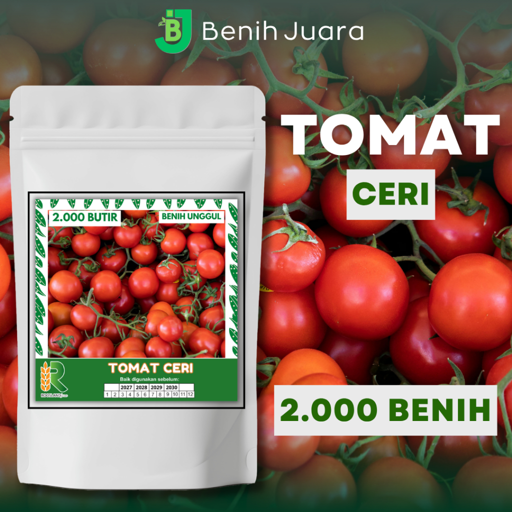 (2.000 BUTIR) BIJI BENIH TOMAT CERI KEMASAN PREMIUM