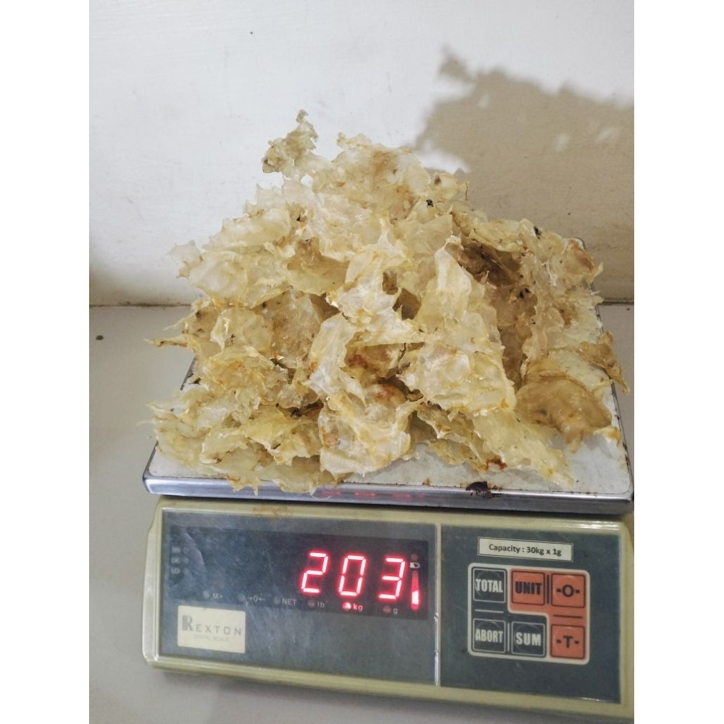 Hipio gelembung kayak perut ikan mayung mentah