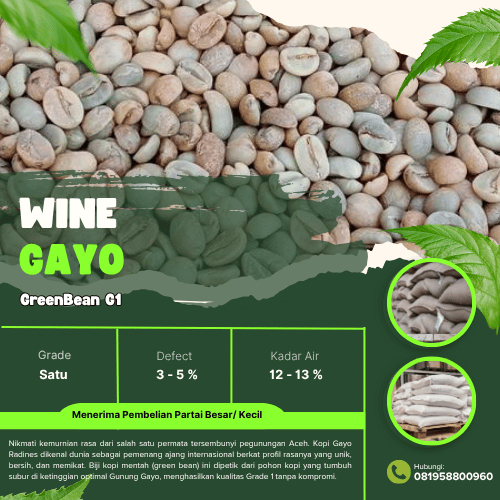 Grade 1 Wine Gayo Green Beans | Biji Kopi Mentah