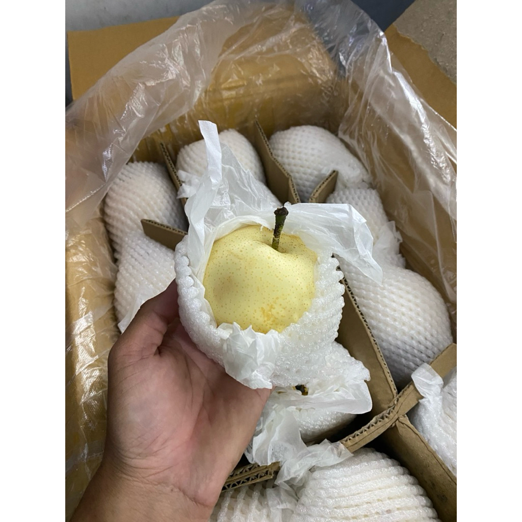 Buah Pear century manis / buah pear century import