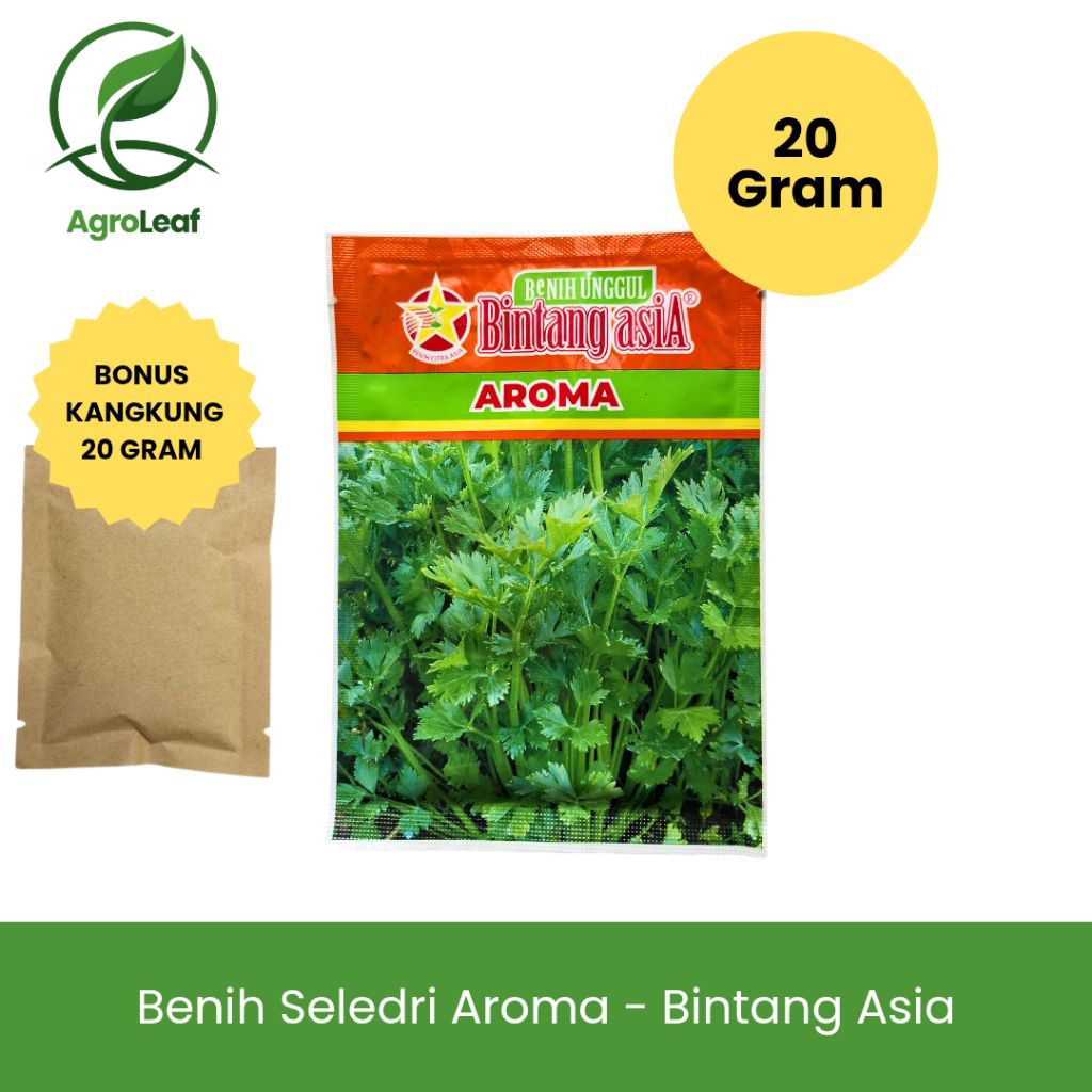 BIBIT SELEDRI AROMA - BINTANG ASIA (20 GRAM) | Benih Seledri Aroma Kuat Daun Lebat