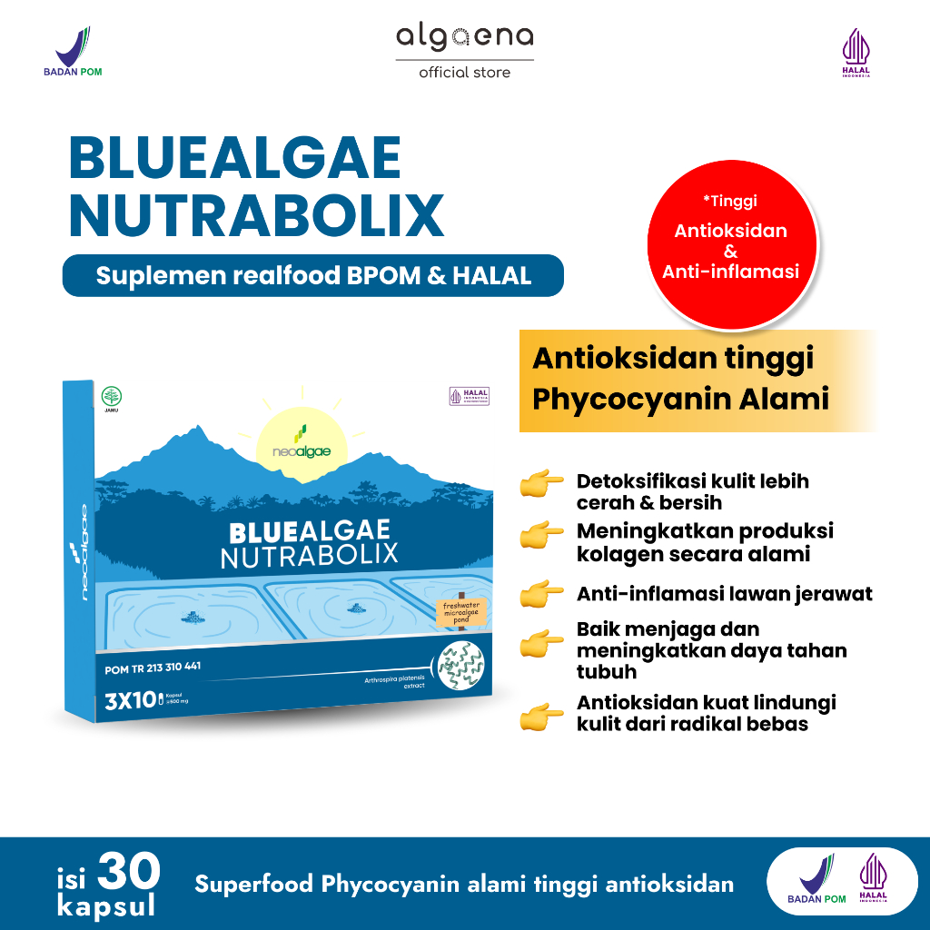 Algaena Official Store - [BPOM & HALAL] Suplemen kecantikan Bluealgae Nutrabolix Antioksidan Anti In