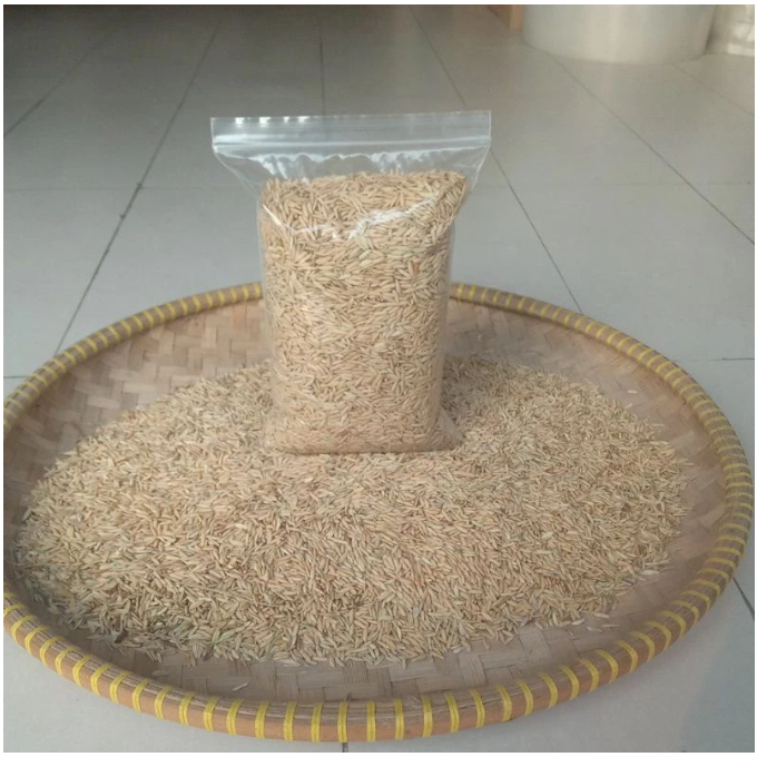 GABAH KERING BERAS PUTIH 1KG