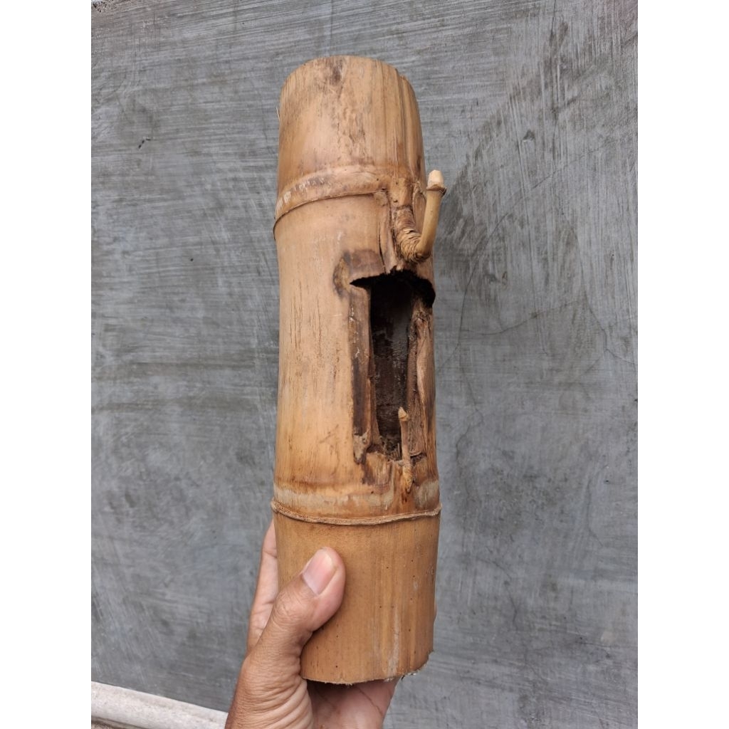 BAMBU UNIK PETUK JALU BOS (31 CM) ISTIMEWA