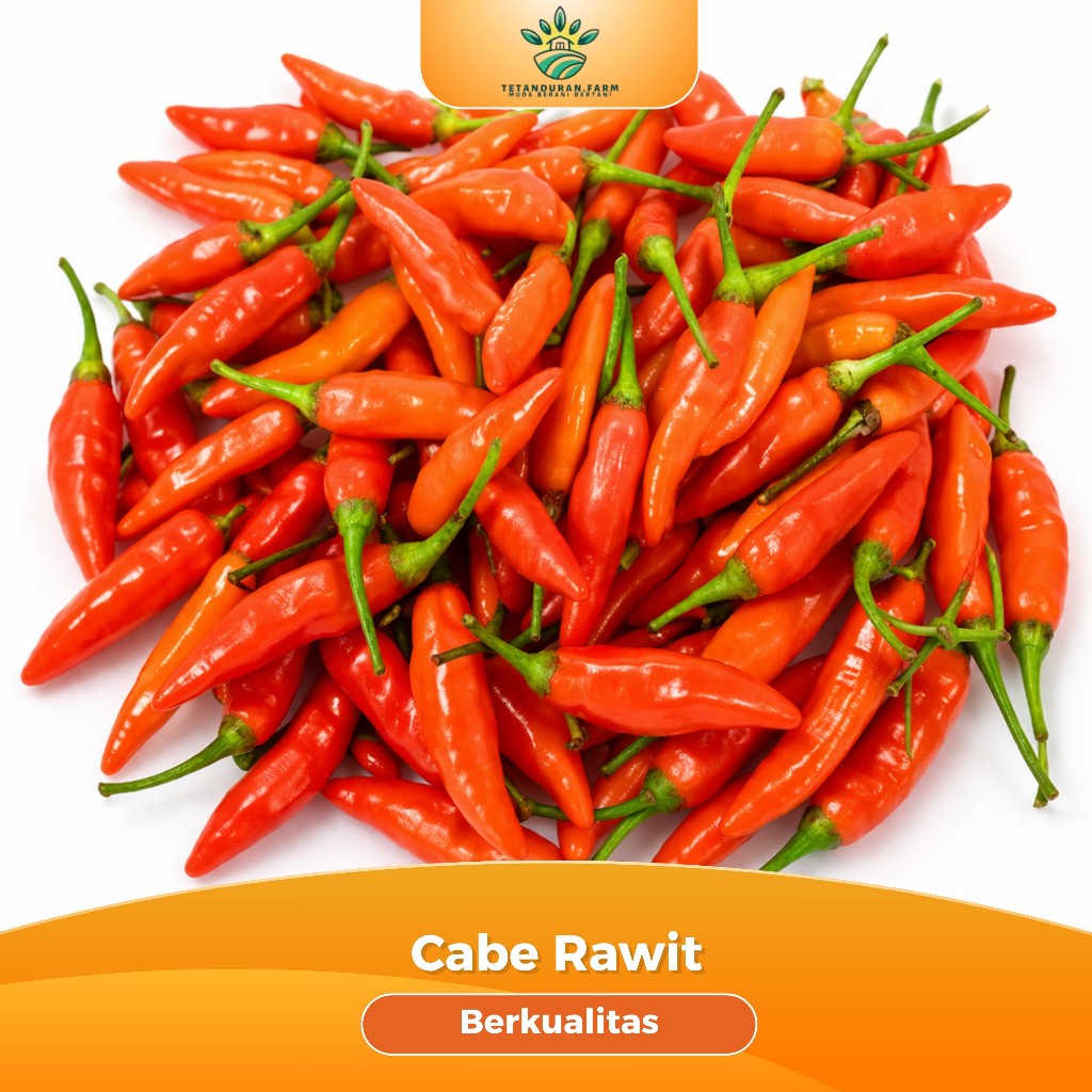 Cabai Rawit Segar Fresh Petik Bekualitas - Cabe Setan -Cabe ORI