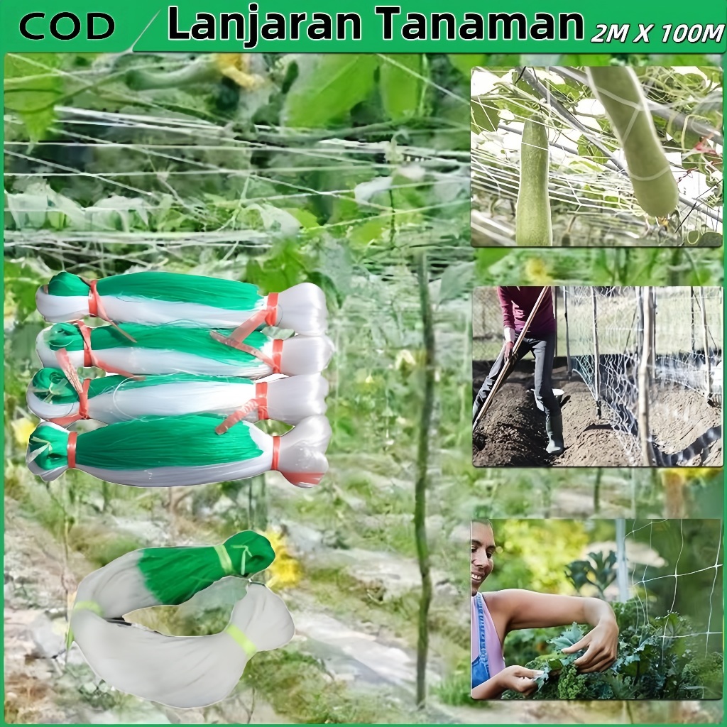 2M X 100M Jaring Rambatan Tanaman Buah Merambat Plant Climbing Net Jaring Pagar Ayam Kebun Lanjaran 