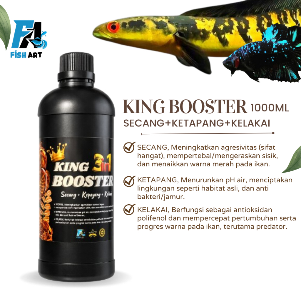 King Booster - Kombinasi Ketapang,Secang,Kelakai
