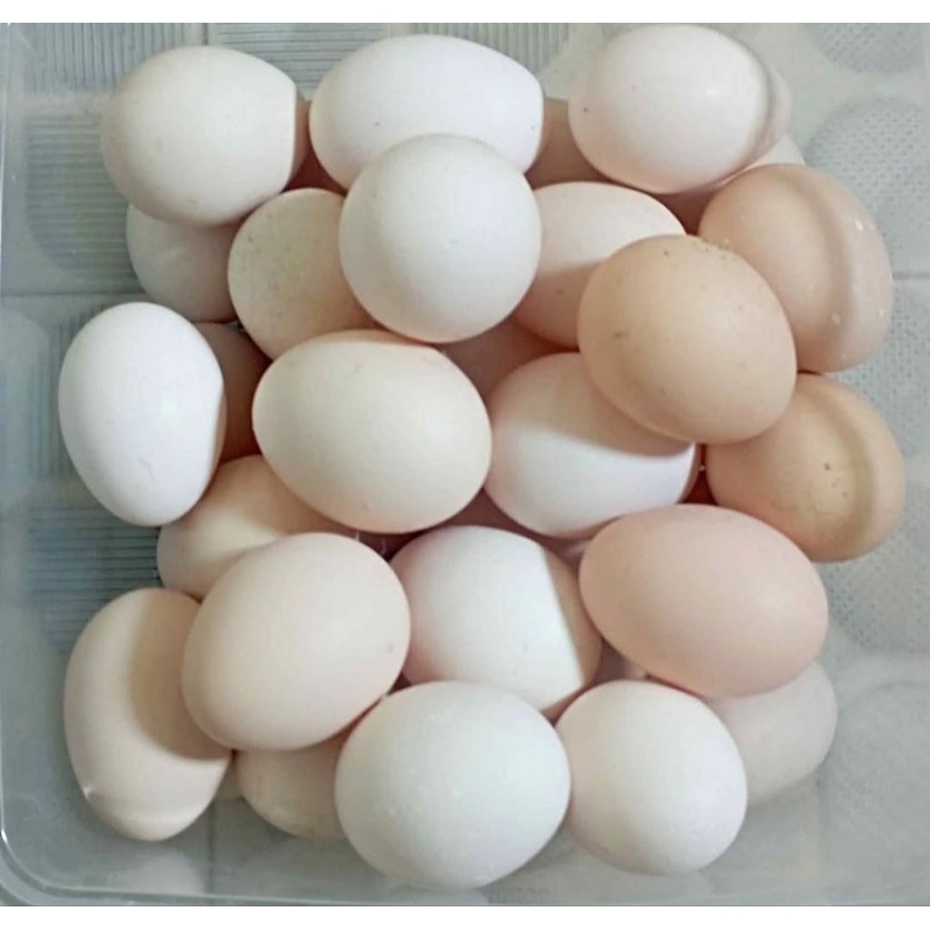 Telur Ayam Kampung Asli.