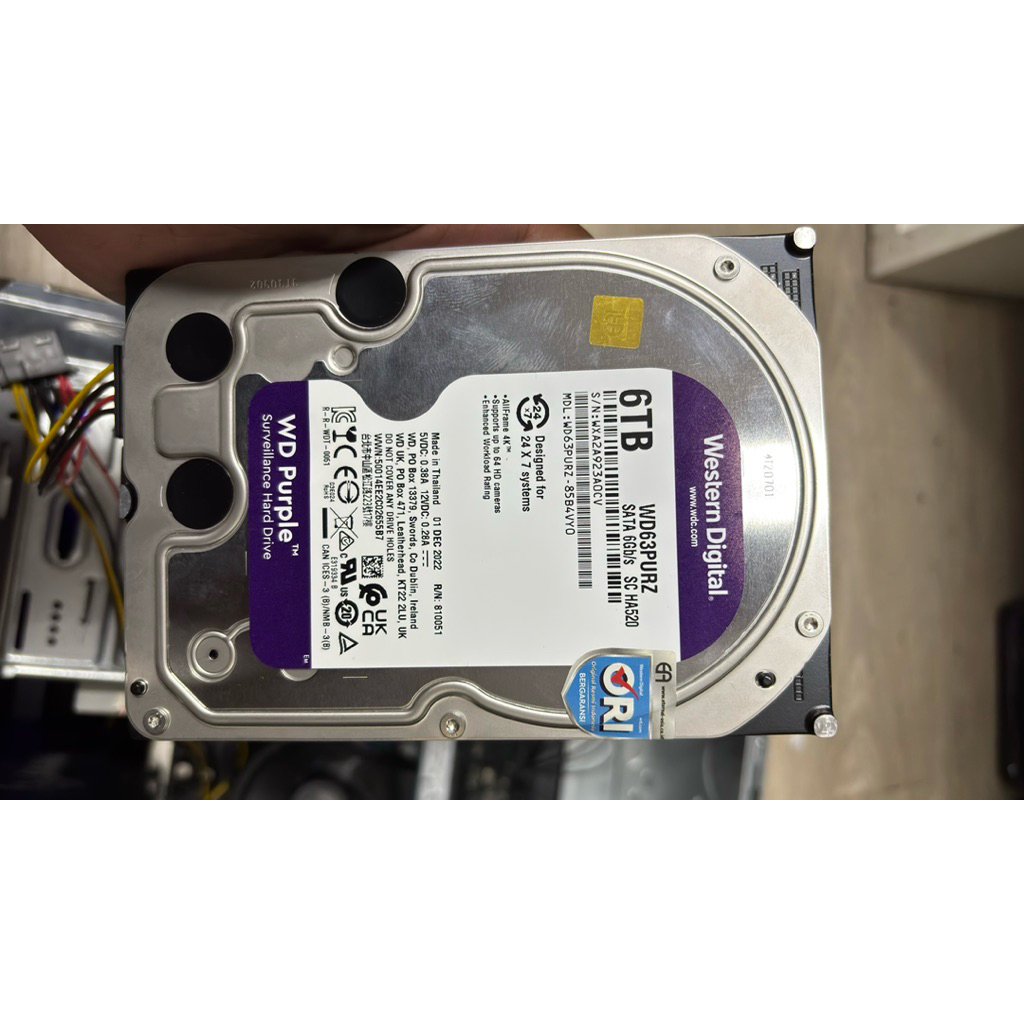 HDD WD Purple Surveillance 3.5” 6TB sentinel 100/100 second