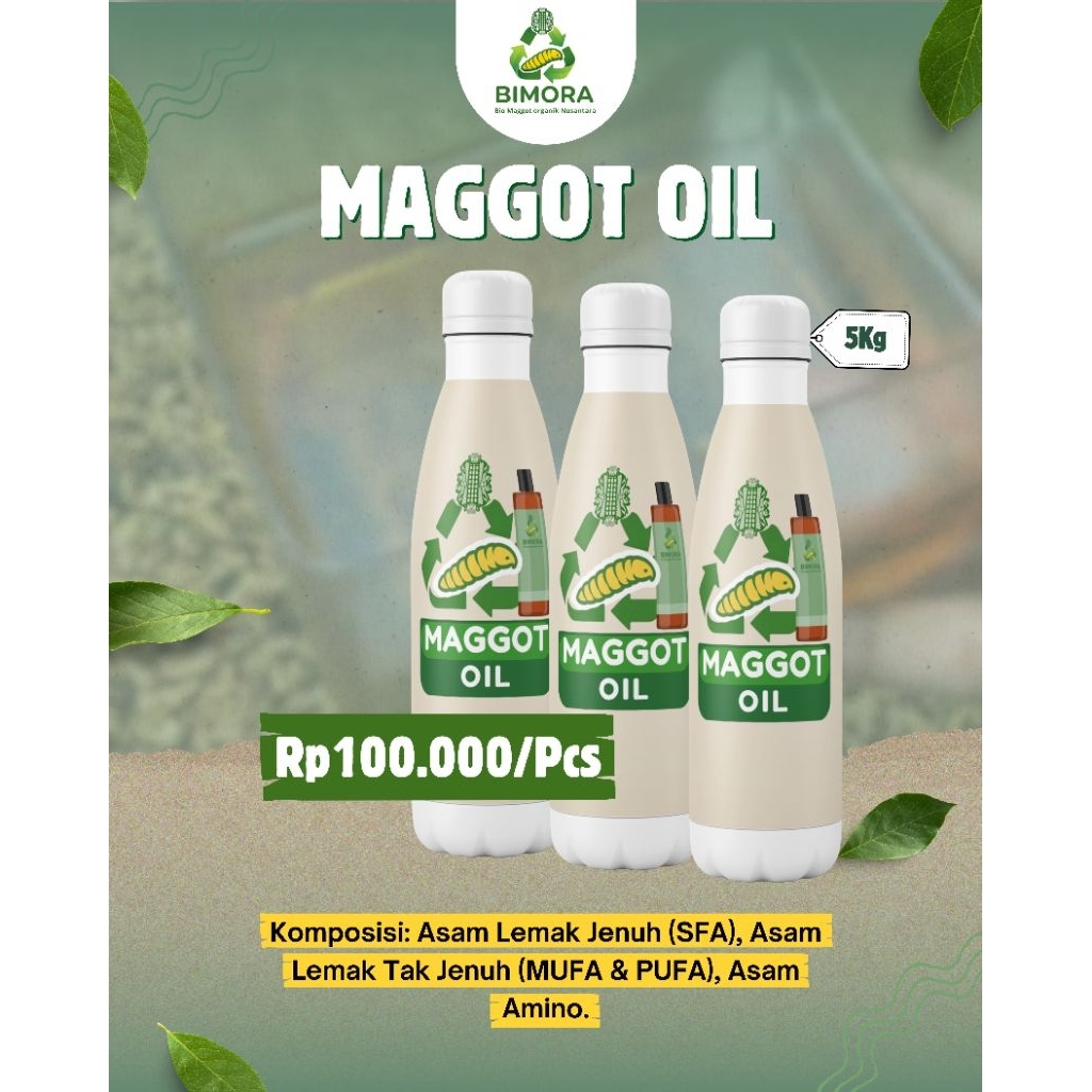 MINYAK MAGGOT BSF 5kg - Sumber Energi & Imun Ternak