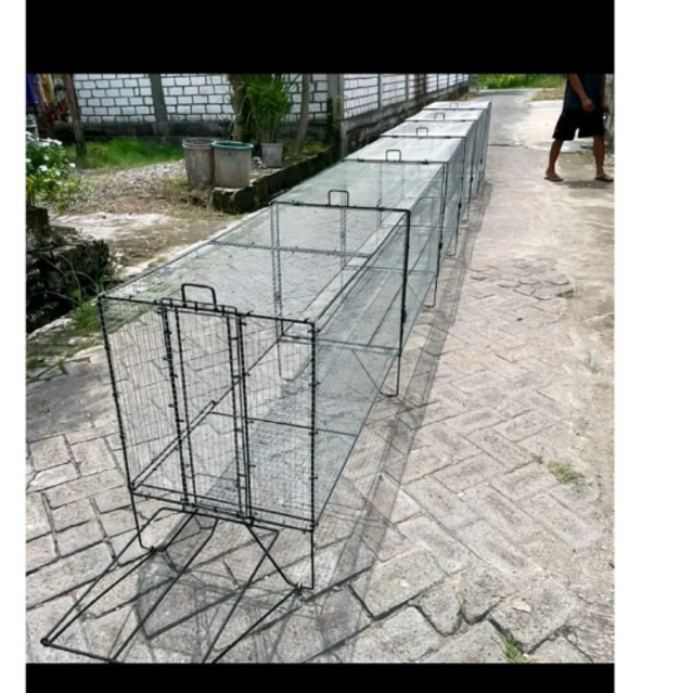 Umbaran Burung Murai Sleding Batu 4 Meter