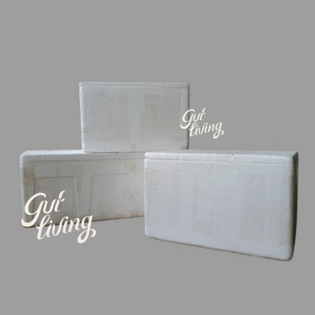 Styrofoam Sterofoam Bekas Makanan Frozen Food Layak Pakai Cooler Box