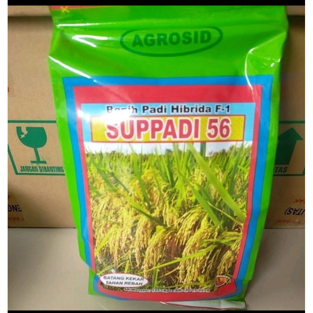 BENIH PADI HIBRIDA SUPPADI 56 KEMASAN 1KG