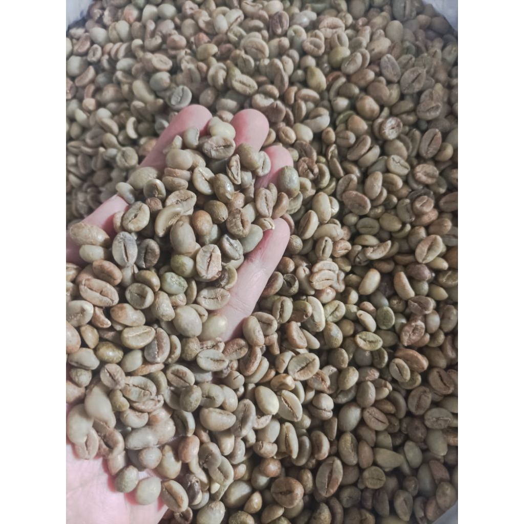 GREEN BEAN - Biji Kopi - ROBUSTA TEMANGGUNG