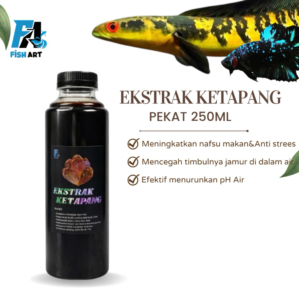 EKSTRAK KETAPANG 250ml | EKSTRAK KETAPANG MULTIVITAMIN C++ 250ml | DAUN KETAPANG KERING 50gr