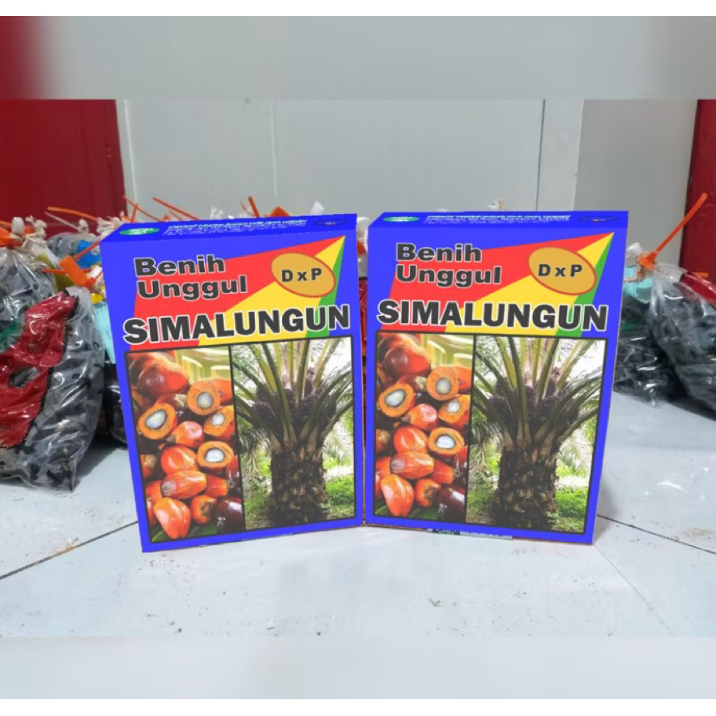 250 Butir Bibit Kelapa Sawit PPKS Simalungun Pelepah Pendek - Kualitas Super, Produksi Tinggi, Adapt