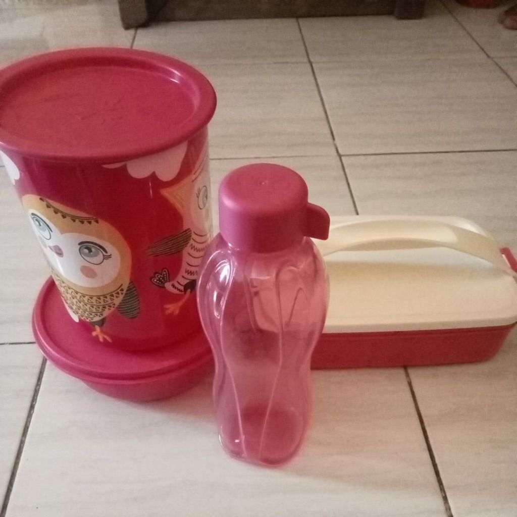 Tupperware birdie set