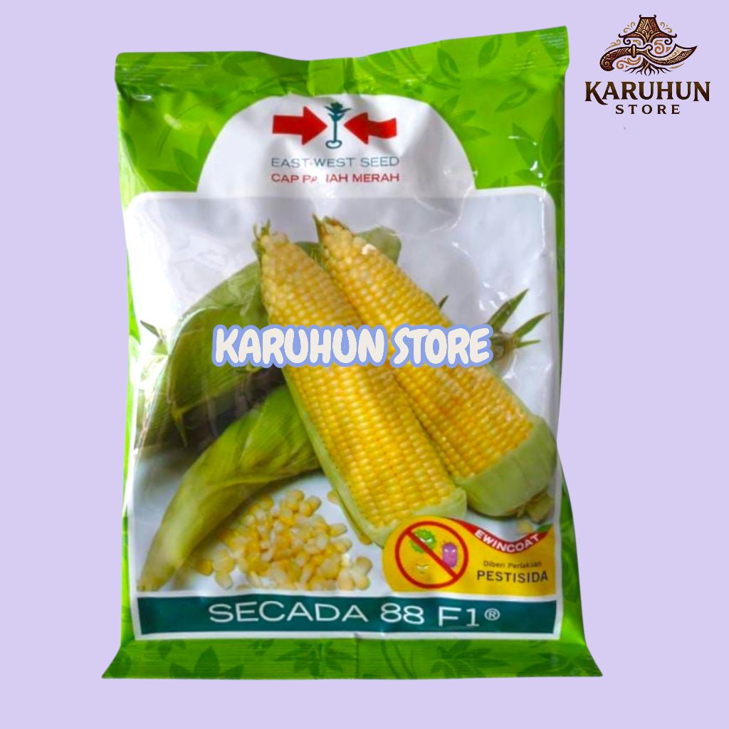 Benih Jagung Manis Secada 88 F1 1.750 Butir