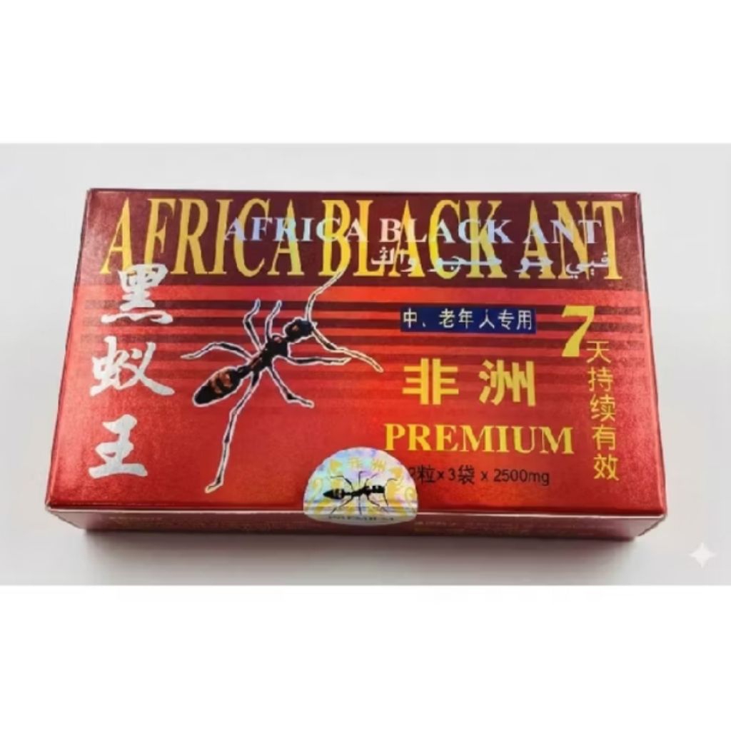 semut afrika hitam premium berstandar internasional
