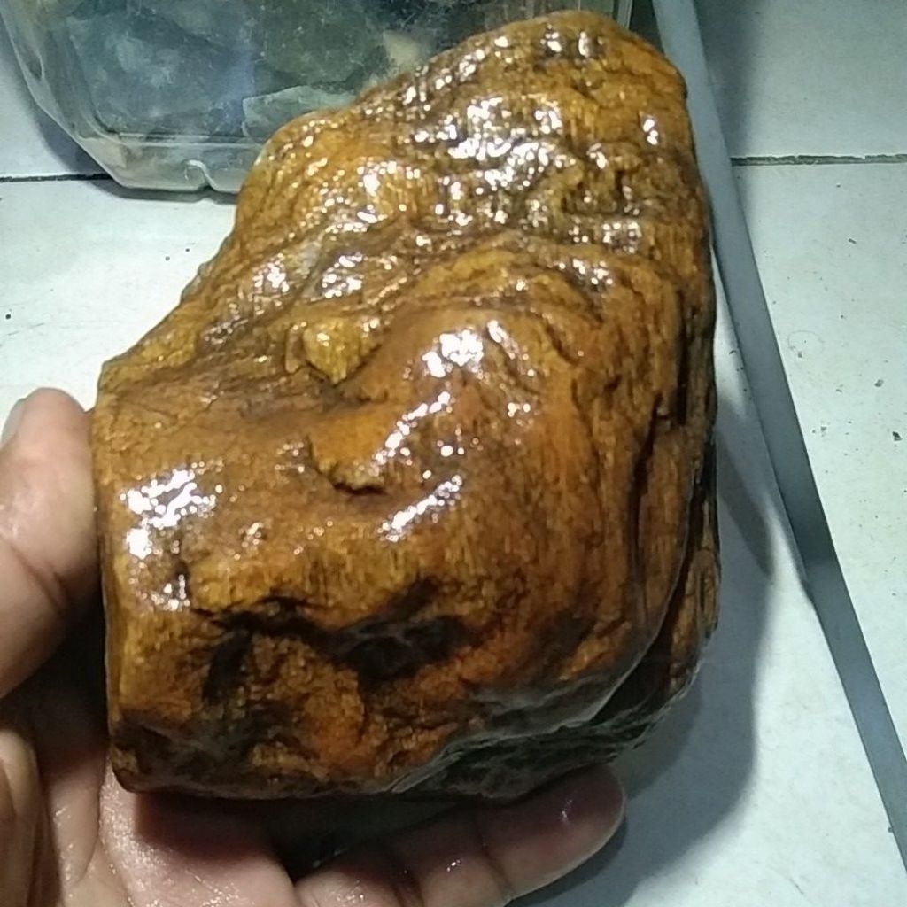 BATU FOSIL KAYU JATI
