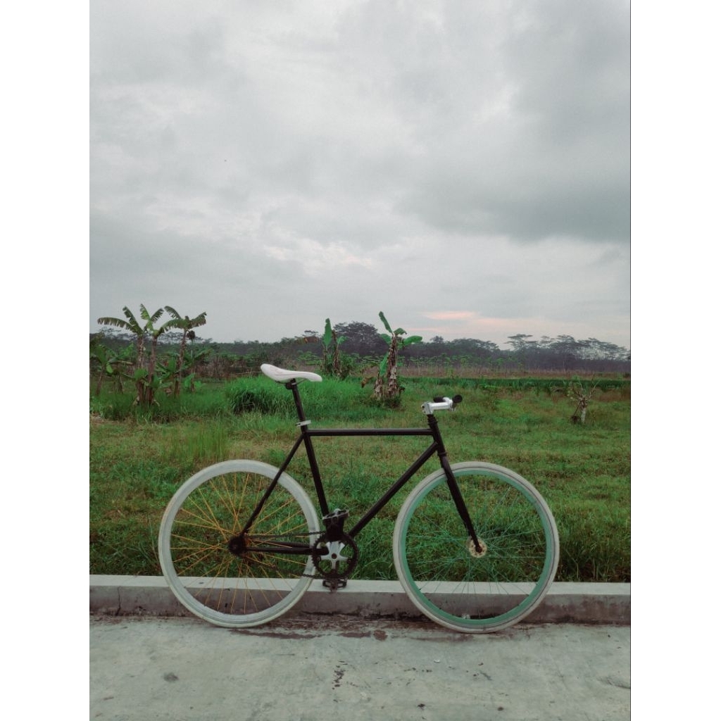 Sepeda Fixie Doltrap