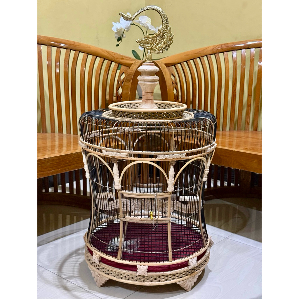 sangkar burung perkutut mashio jemur