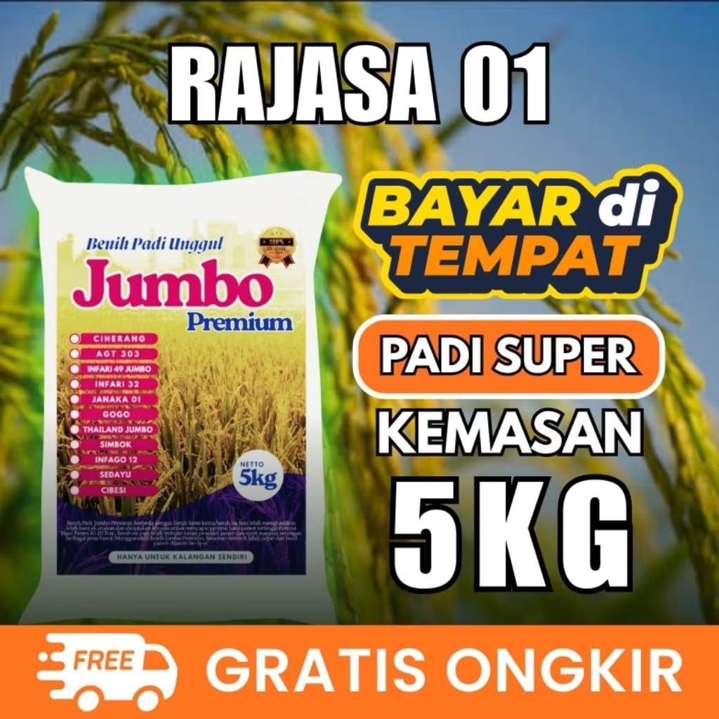 bibit padi benih padi unggul RAJASA 01 original kemasan 5kg_hasil melimpah _tahan hama&penyakit