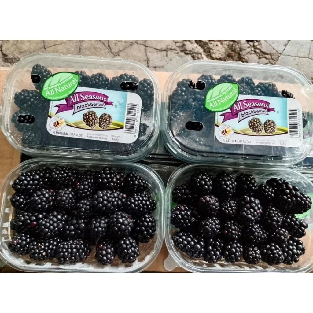buah blackberry all season blackberry super segar 125g per pack
