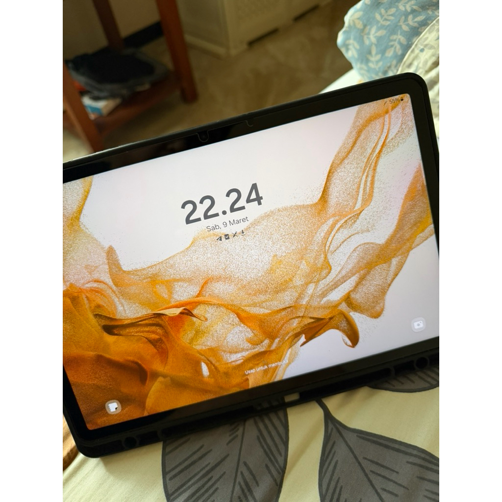 Samsung Galaxy Tab S8 (wifi only)