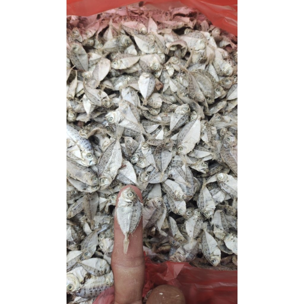 IKAN ASIN PETEK KECIL
