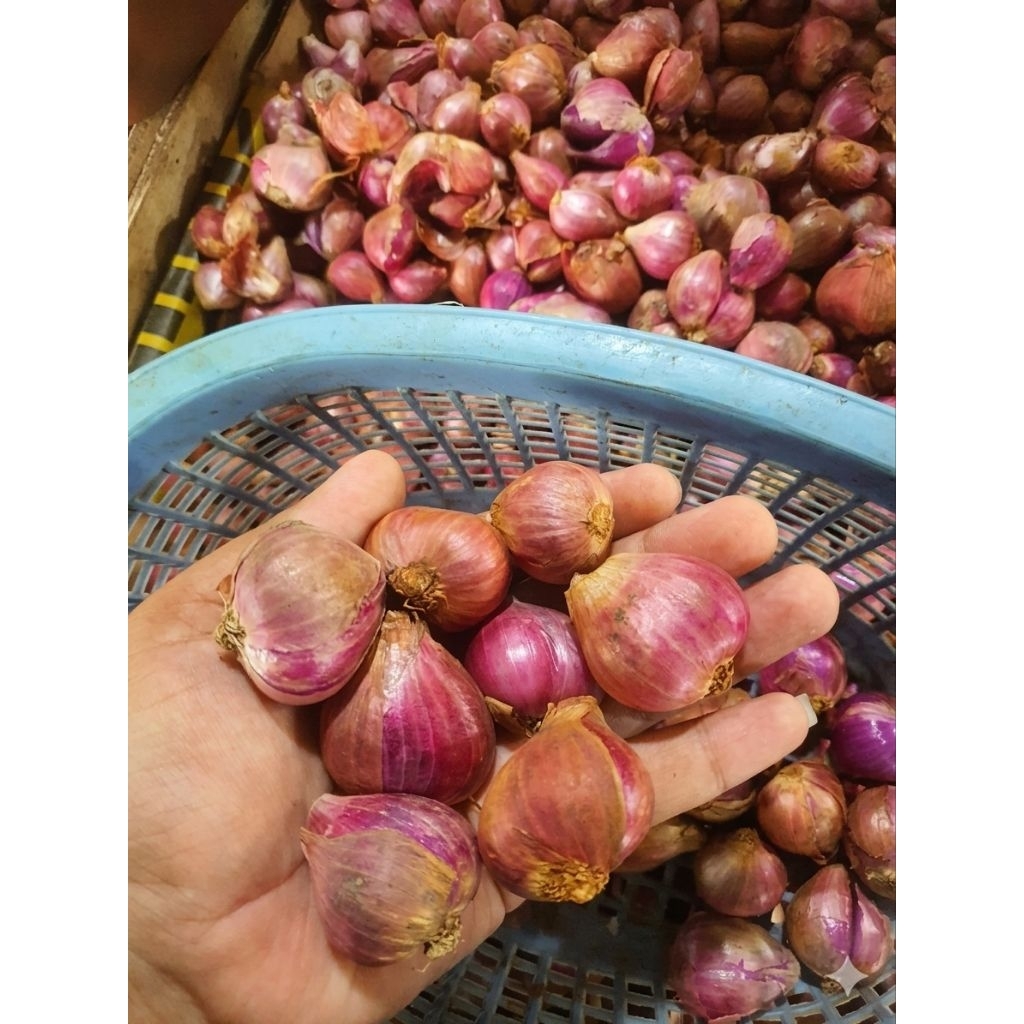 bawang merah 1kg (besar)