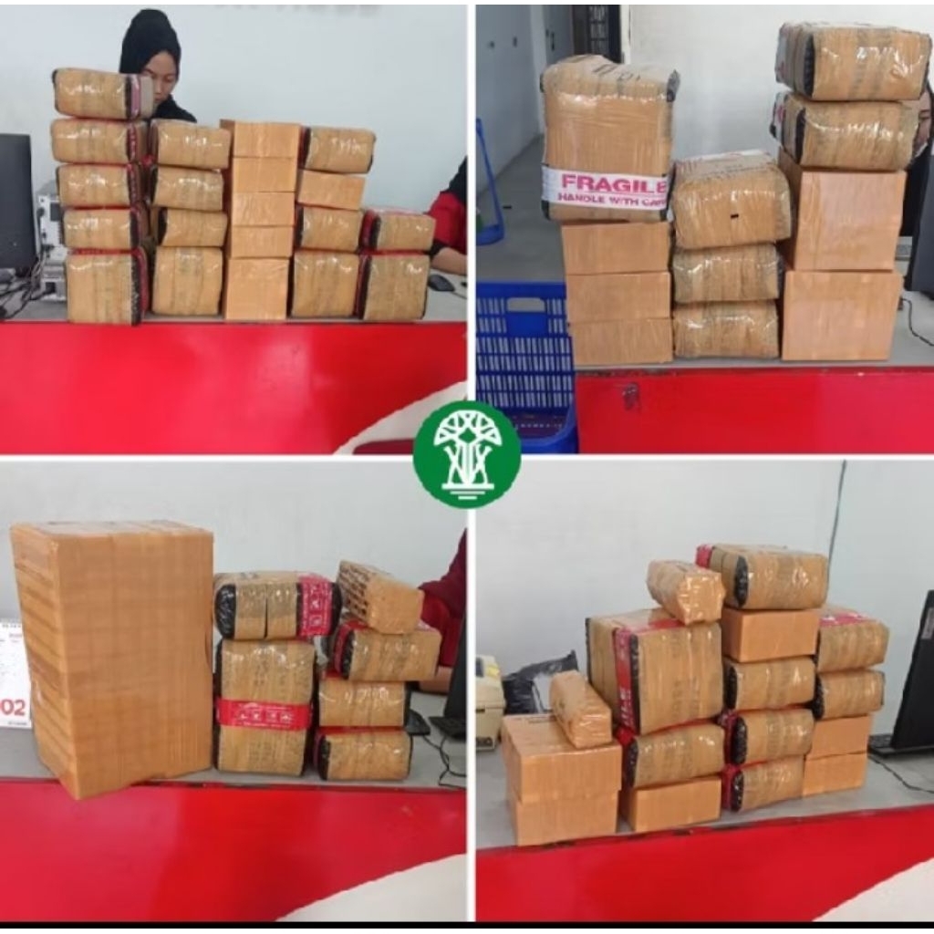 Bibit sawit topaz IRG dan hijau pelepah panjang dan pendek bersertifikat isi 250 butir