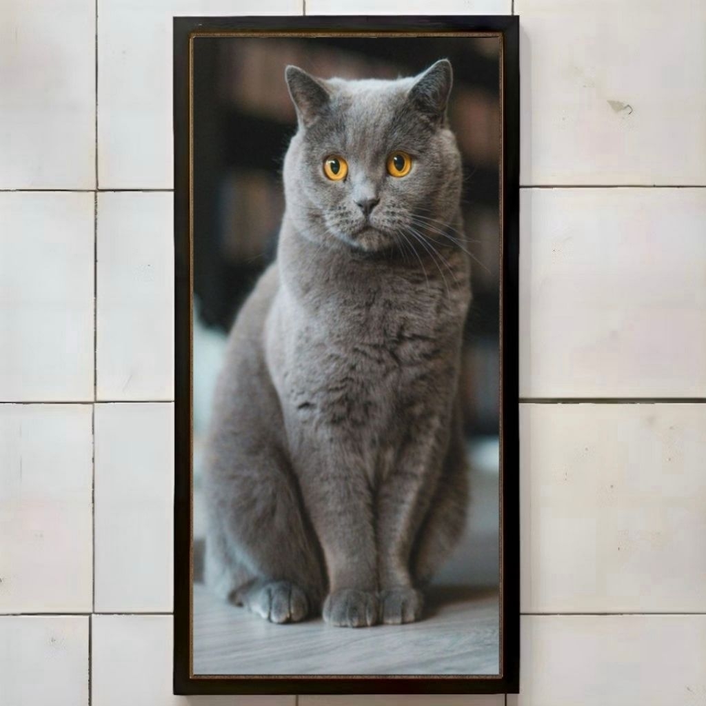 kucing anggora abu abu yang estetic dan cantik