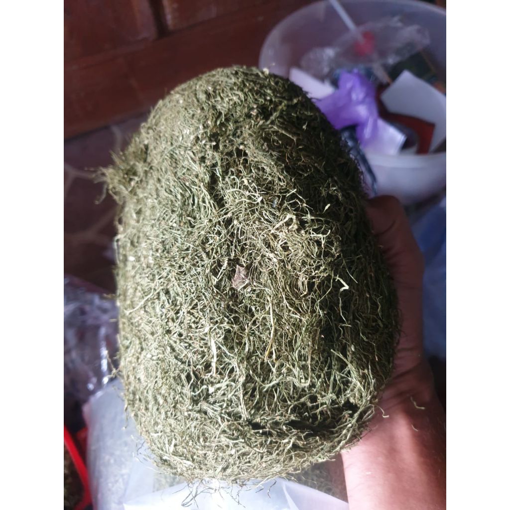 Daun Hijau Gayo 20 gram (S20)